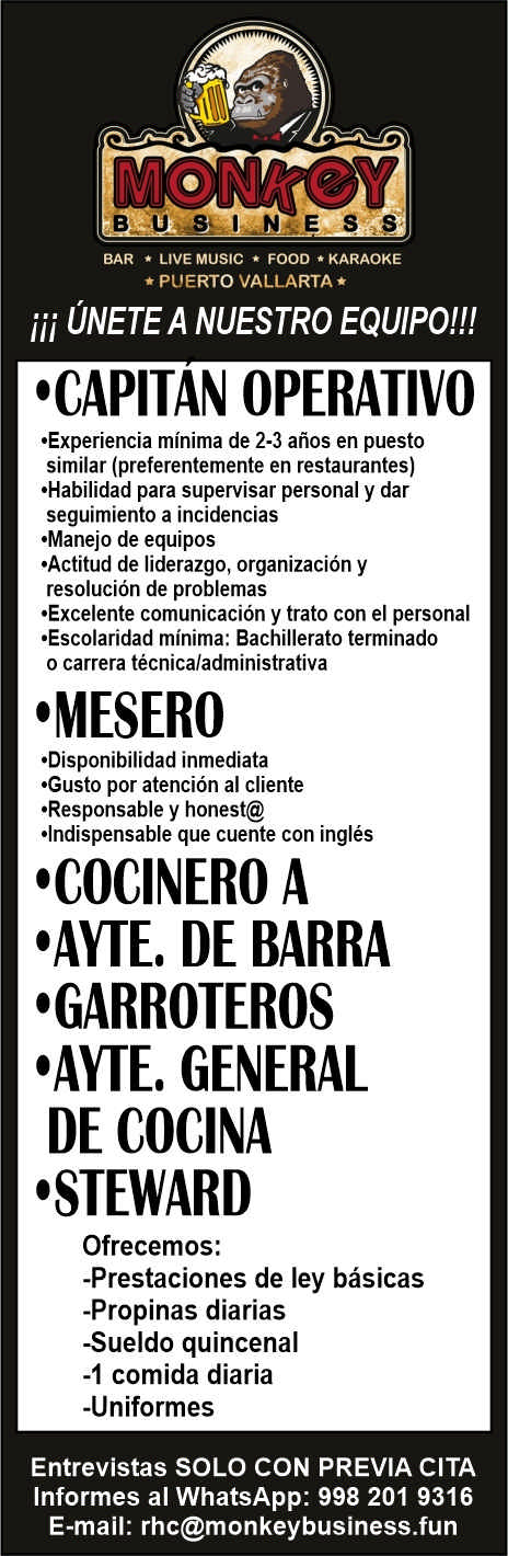 Monkey business dise%c3%b1o