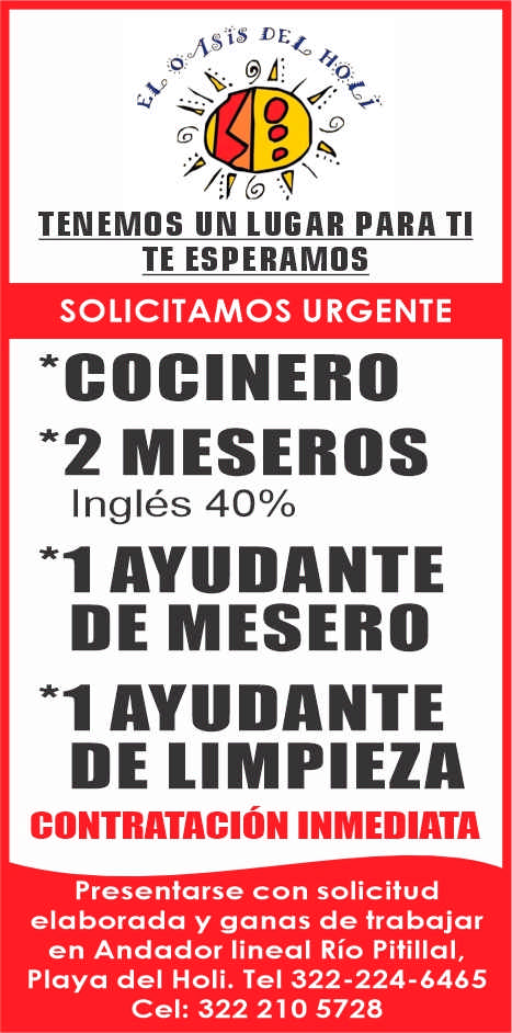 Oasis del holi dise%c3%91o