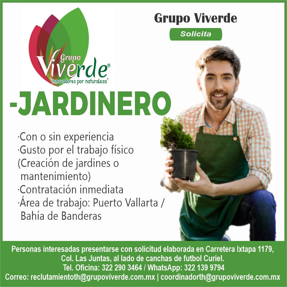 Grupo viverde dise%c3%b1o