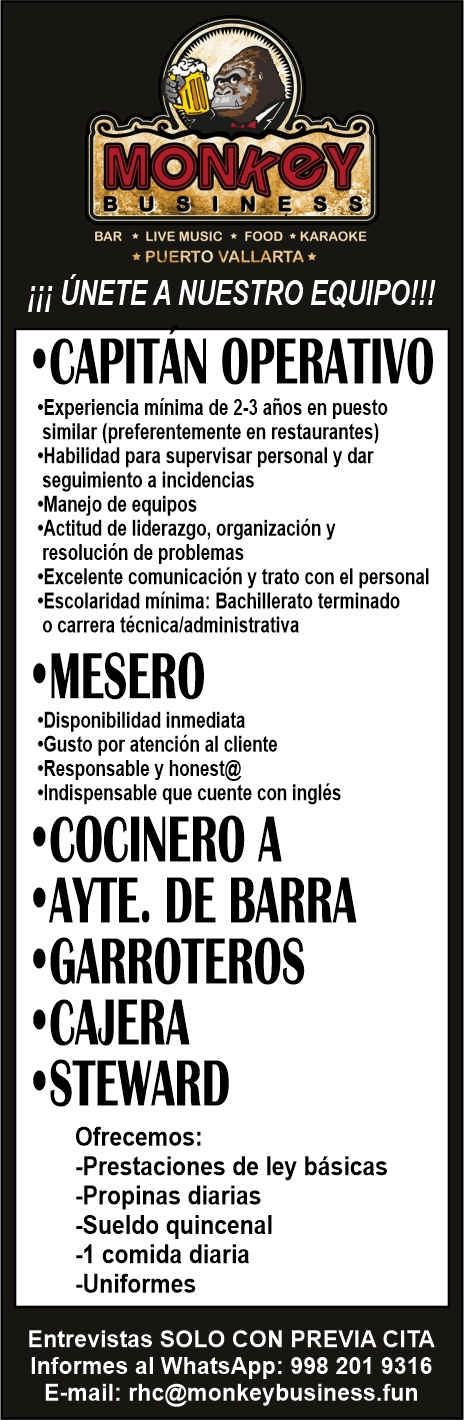 Monkey business dise%c3%b1o