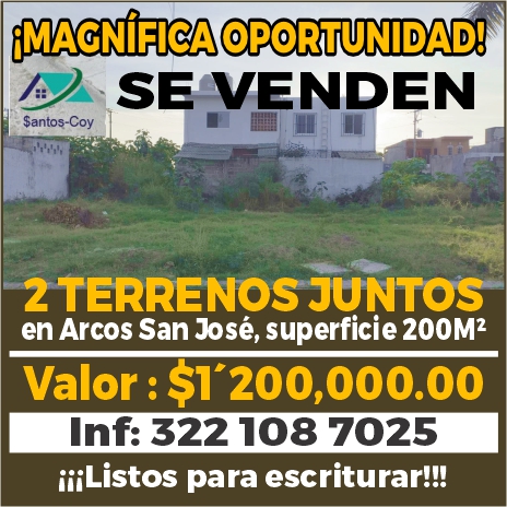 Armando santoskoy dise%c3%b1o