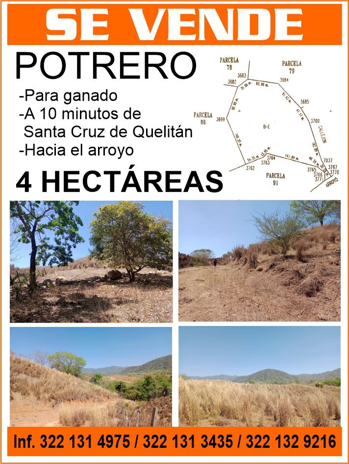 Luz elena dise%c3%b1o