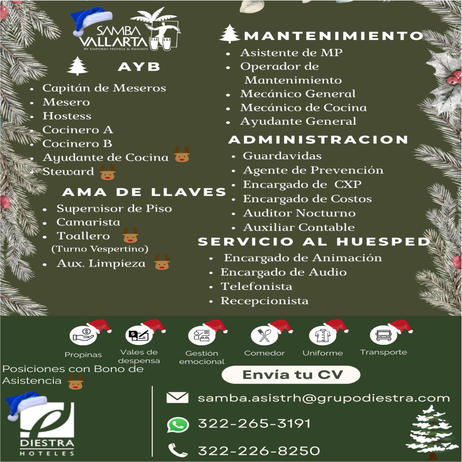 Hotel samba dise%c3%b1o