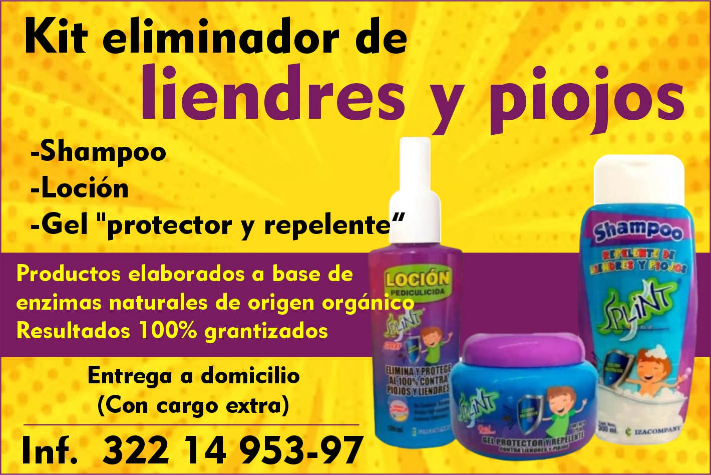 Blanca delgadillo dise%c3%b1o