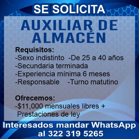 Efigente dise%c3%b1o