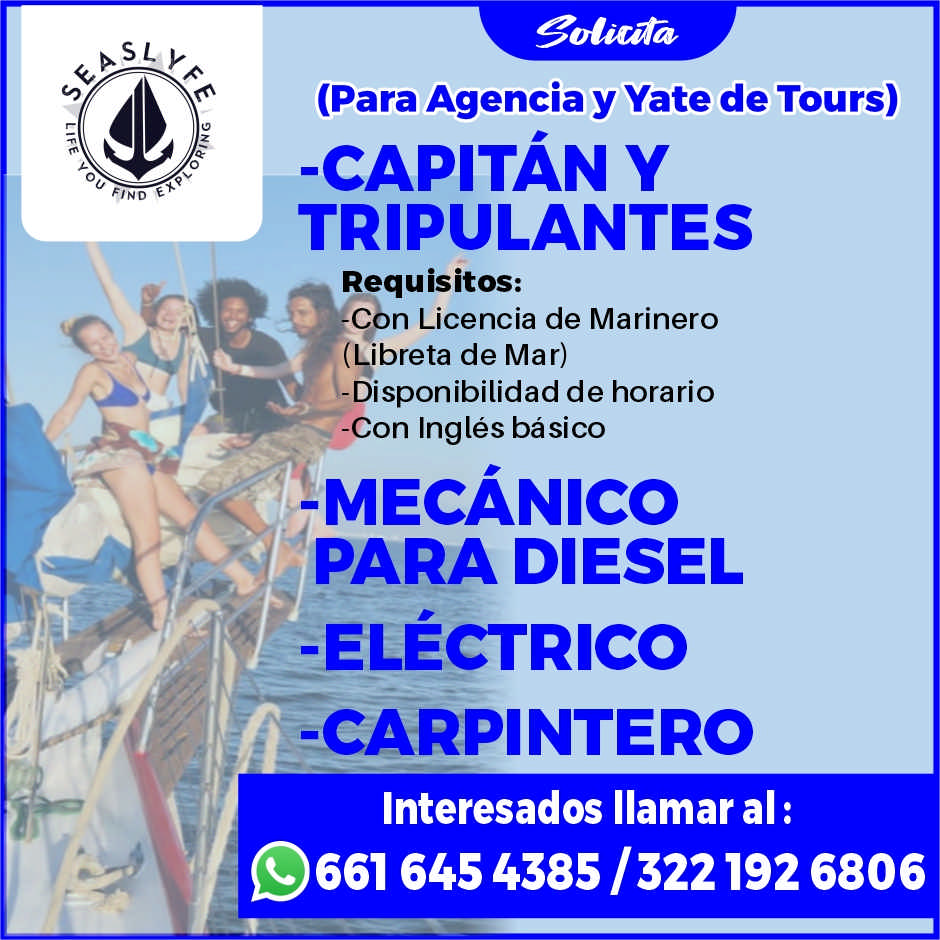 John smith dise%c3%b1o