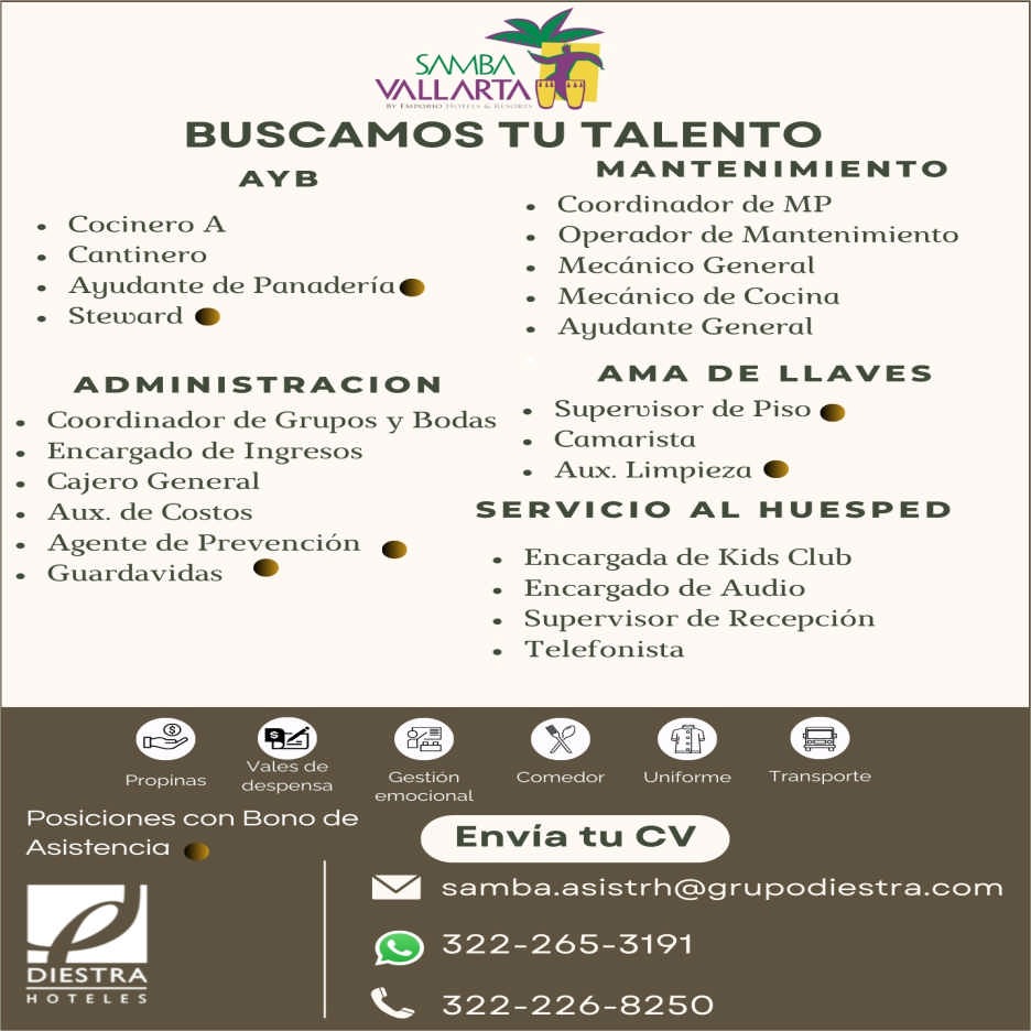 Hotel samba dise%c3%b1o