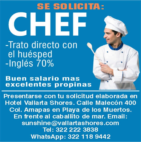 Hotel vallarta shores dise%c3%b1o5