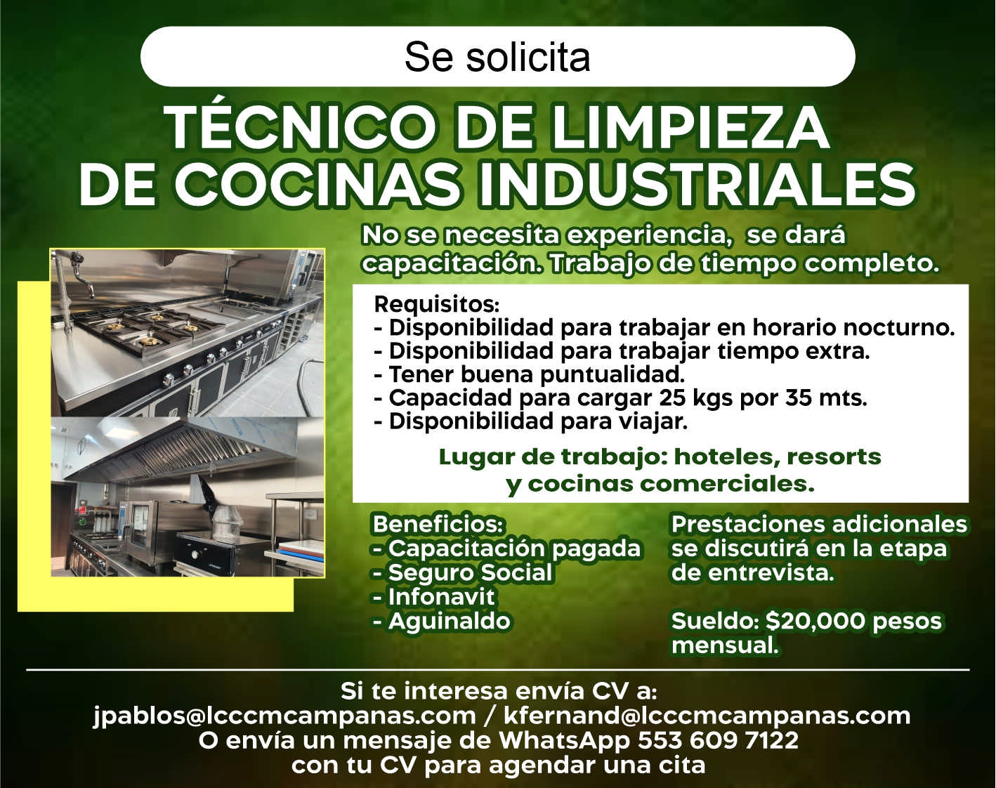 Limpieza certificada de campanas dise%c3%b1o