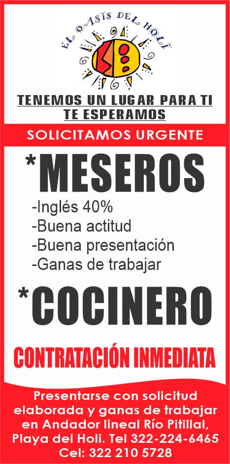 Oasis del holi dise%c3%91o