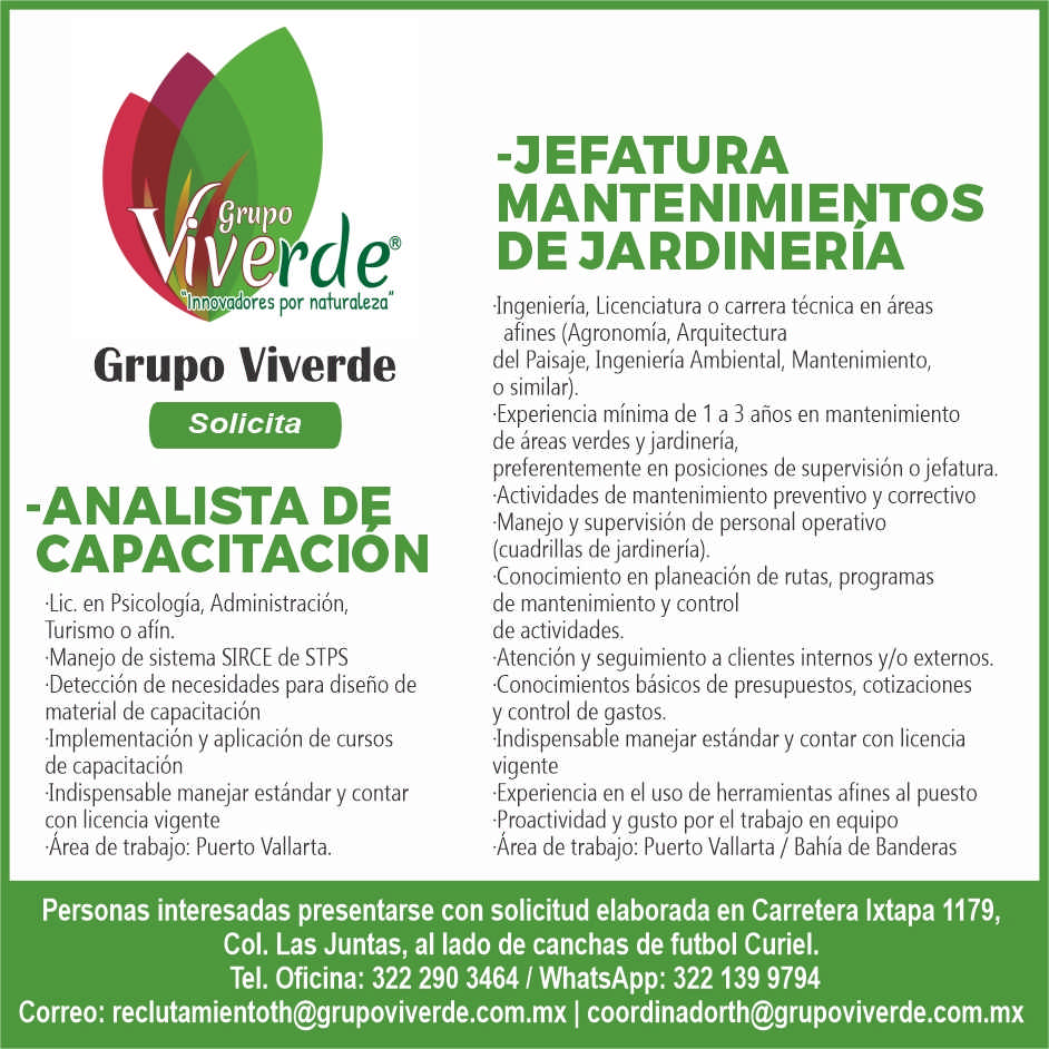 Grupo viverde dise%c3%b1o