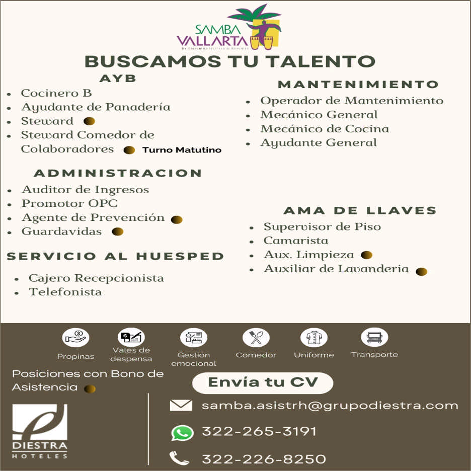 Hotel samba dise%c3%b1o