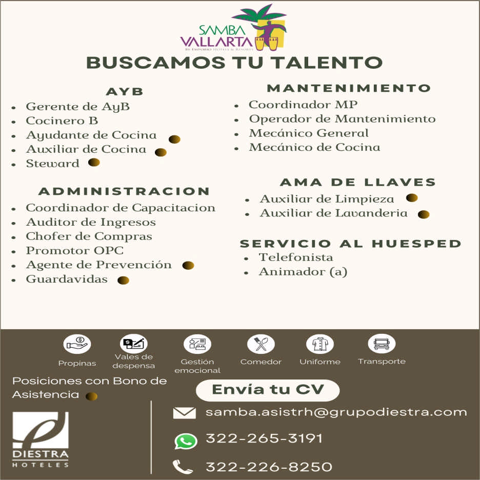 Hotel samba dise%c3%b1o