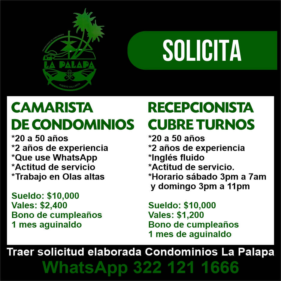 La palapa dise%c3%b1o