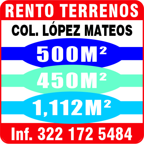 Inmobiliaria gonzalez torres dise%c3%b1o