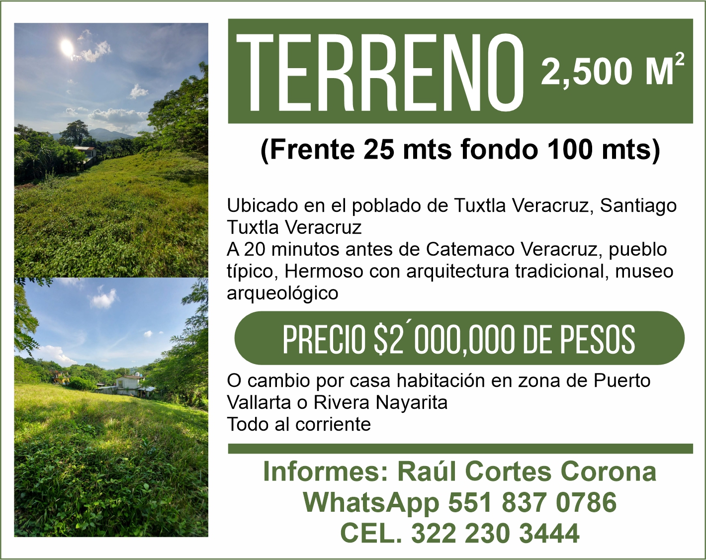 Raul cortes corona dise%c3%b1o