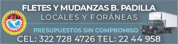 Fletes y mudanzas la central dise%c3%91o