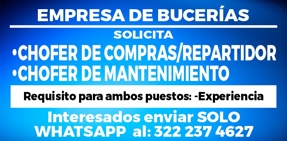 Paninos dise%c3%91o2