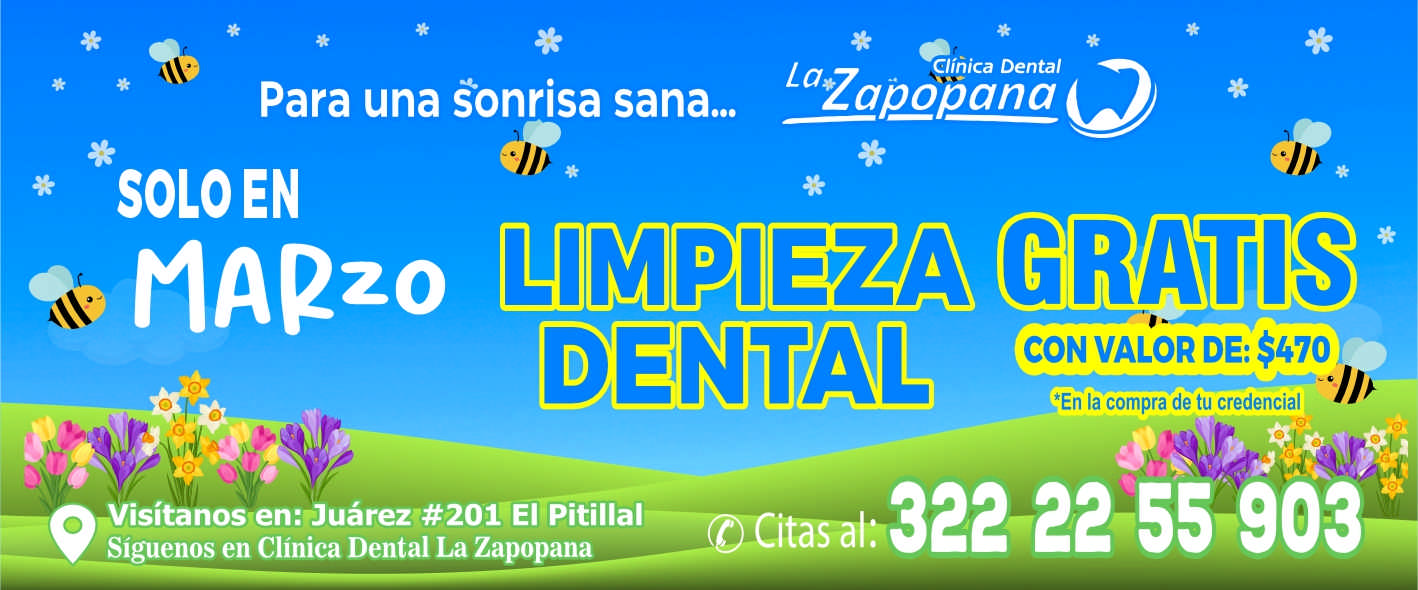 Dental zapopana dise%c3%b1o