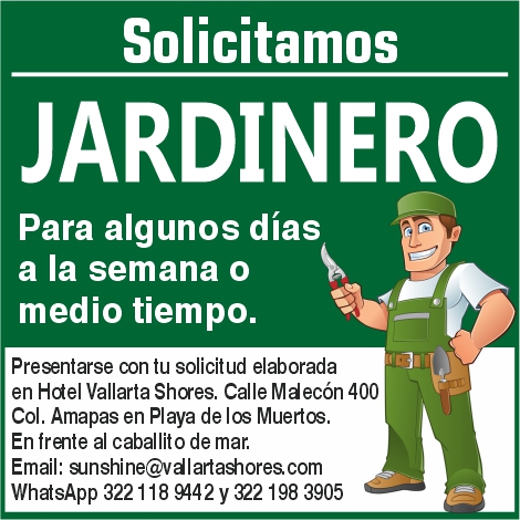 Hotel vallarta shores dise%c3%b1o3