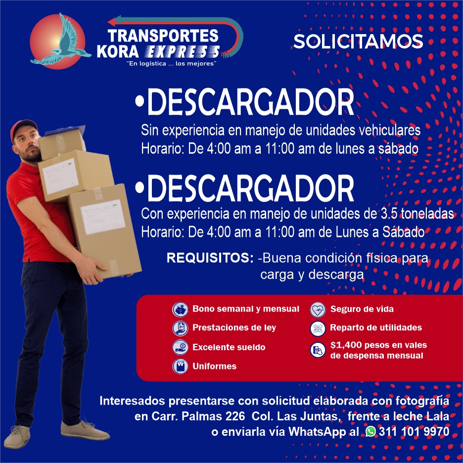 Transportes kora express dise%c3%b1o