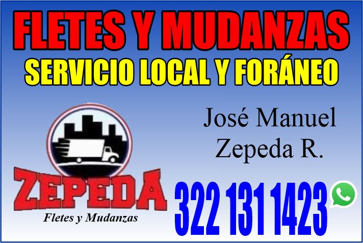 Mudanzas zepeda dise%c3%b1o