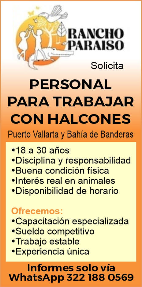 anuncio de Ranchoparaisosolicitapersonalpara trabajarcon halconespuerto vallarta y bahia de banderas? 18 a 30 anos'disciplina y responsabilidad'buena condicion fisica'interes real en animales'disponibilidad de horarioofrecemos:'capacitacion especializada'sueldo competitivo? trabajo estable'experiencia unicainformes so o vlawhatsapp 322188 0569