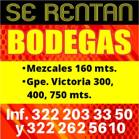 Andamios resendiz dise%c3%b1o