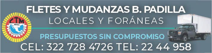 Fletes y mudanzas la central dise%c3%91o