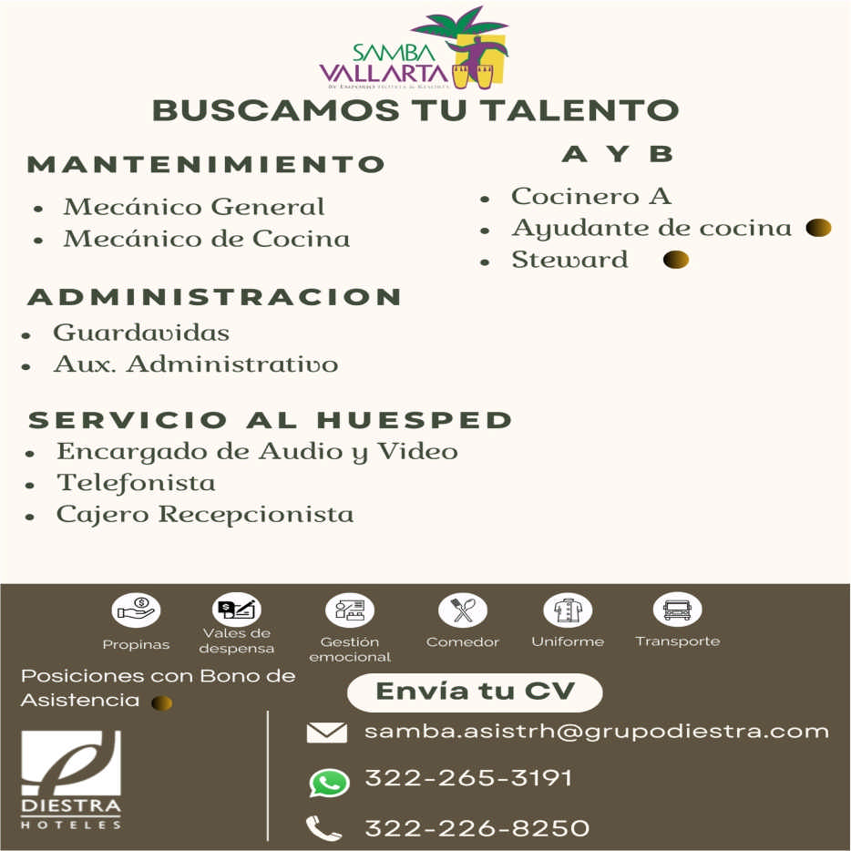 Hotel samba dise%c3%b1o