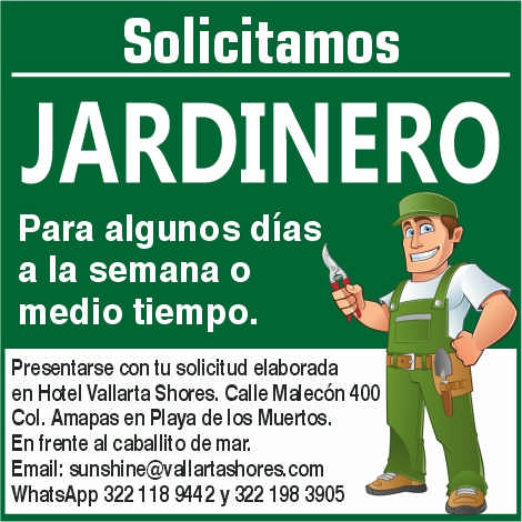 Hotel vallarta shores dise%c3%b1o3