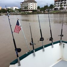 imagen de Catch your dinner!_1