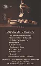 imagen de Bolsa de Trabajo Mano a Mano ofrece:_1