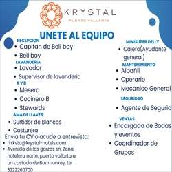 imagen de Bolsa de Trabajo Mano a Mano ofrece:_1