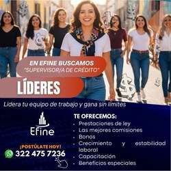imagen de Bolsa de Trabajo Mano a Mano ofrece:_1