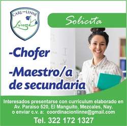 imagen de Bolsa de Trabajo Mano a Mano ofrece:_1
