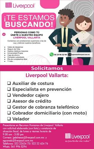 imagen de Bolsa de Trabajo Mano a Mano ofrece:_1