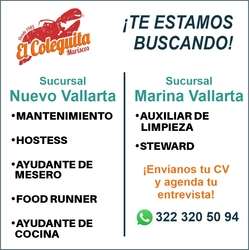 imagen de Bolsa de Trabajo Mano a Mano ofrece:_1