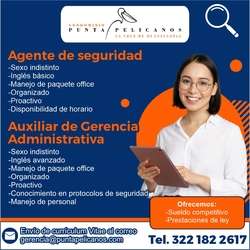 imagen de Bolsa de Trabajo Mano a Mano ofrece:_1
