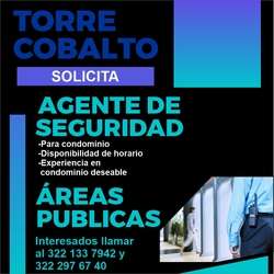 imagen de Bolsa de Trabajo Mano a Mano ofrece:_1