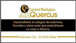 imagen de Control Biológico Quercus _1