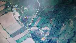 imagen de TERRENO CAMPESTRE EN EL TUITO JALISCO_1