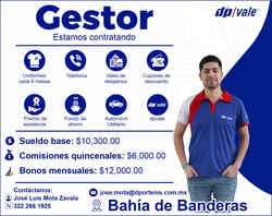 imagen de Bolsa de Trabajo Mano a Mano ofrece:_1