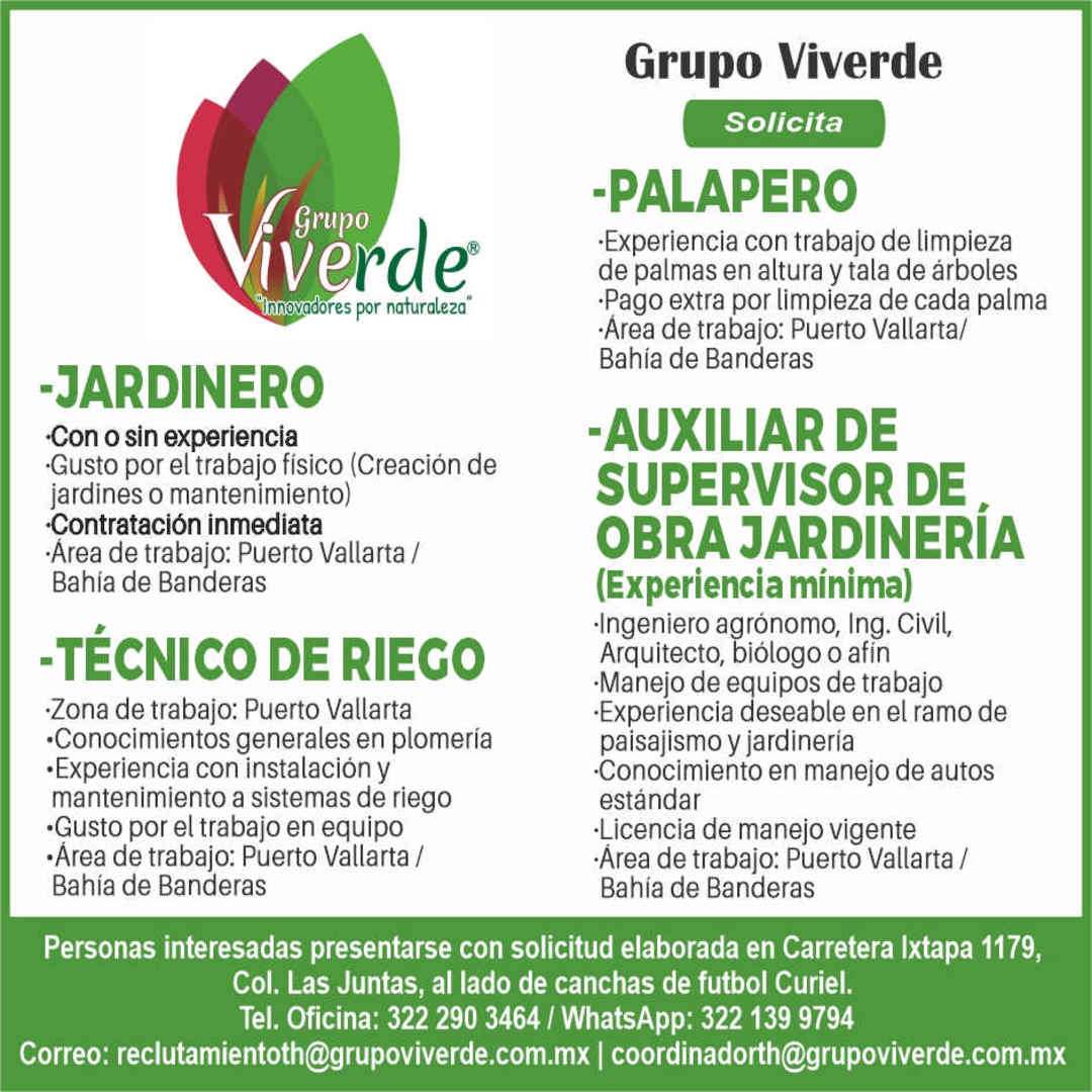 imagen de Bolsa de Trabajo Mano a Mano ofrece:_1