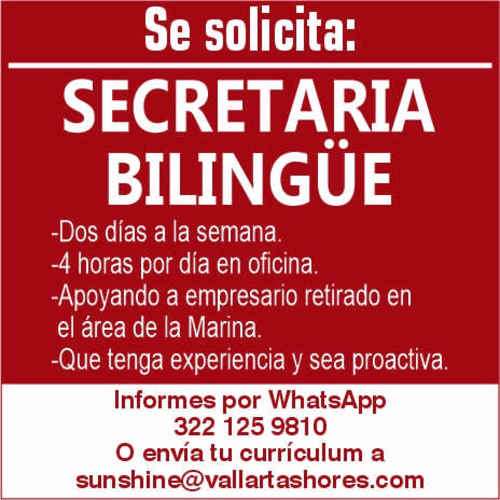 imagen de Bolsa de Trabajo Mano a Mano ofrece:_1