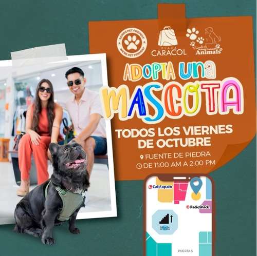 imagen de ¡Hola Vallarta!_1