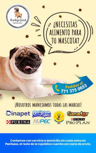 imagen de Rockys food ofrece:_1