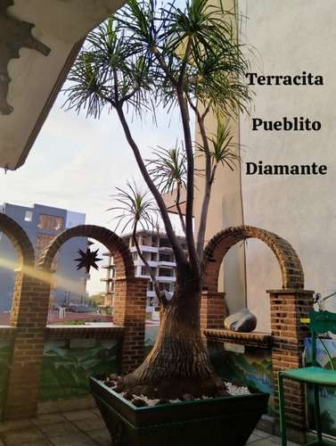 imagen de Terracita Pueblito Diamante_1