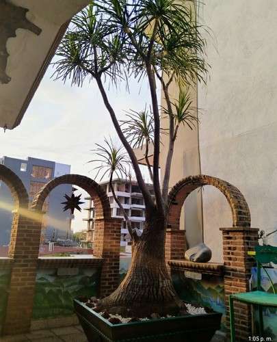 imagen de Terrazita Pueblito Diamante_1