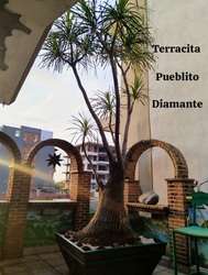 imagen de Terracita Pueblito Diamante_1